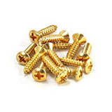 FENDER ΒΙΔΑ PICKGUARD/CONTROL PLATE ΧΡΥΣΗ 