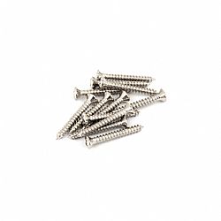FENDER PURE VINTAGE BASS PICKUP MOUNTING SCREWS (12)