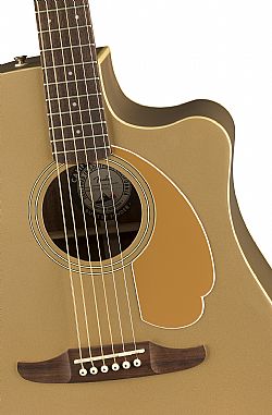 FENDER RENONDO PLAYER BRONZE SATIN WN