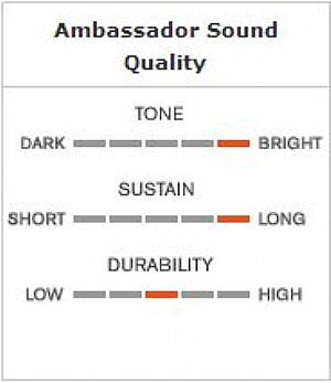 REMO 12'' AMBASSADOR HAZY SNARE SIDE