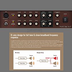 BOSS ACOUSTIC SINGER LIVE LT