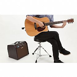 BOSS WL-20L WIRELESS SYSTEM