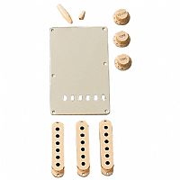 FENDER VINTAGE STRAT ACCESSORY KIT AGED WHITE