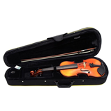 ΒΙΟΛΙ GEWA EW PLUS 4/4