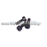 FLOYD ROSE SADDLE MOUNTING SCREW