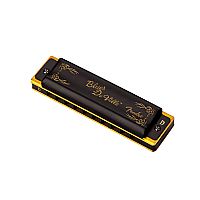 FENDER BLUES DEVILLE HARMONICA D