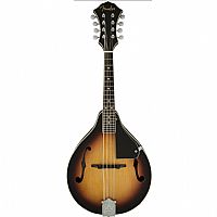 FENDER CONCERT TONE MANDOLIN PACK
