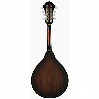 FENDER CONCERT TONE MANDOLIN PACK